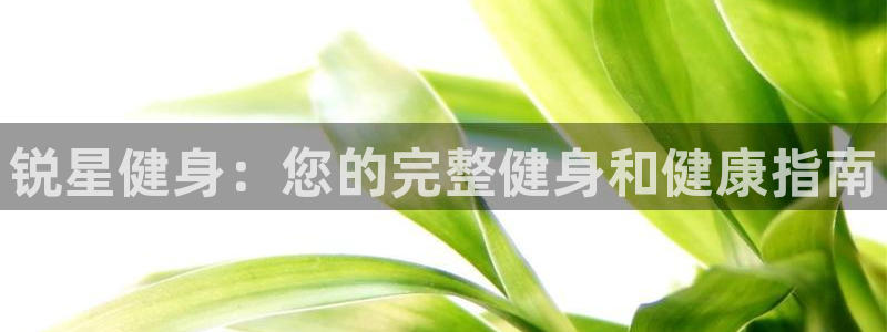意昂2代理