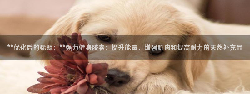 意昂2平台