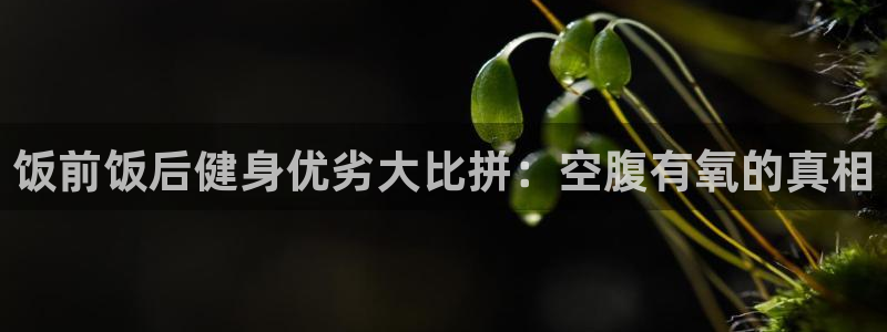 意昂2招商